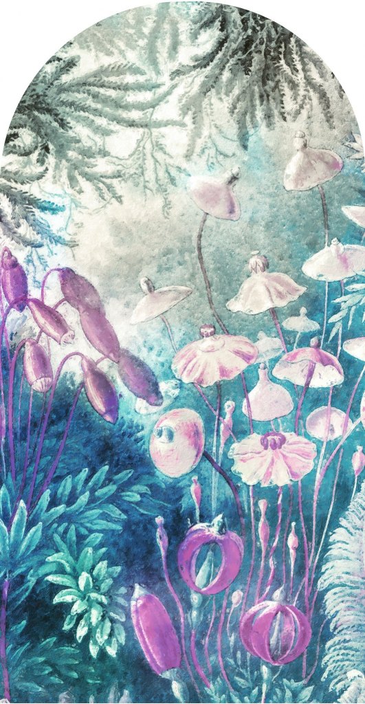 Fairytale Blue – Tapeta Łuk Standard