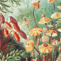 Fairytale Vivid – Tapeta Łuk Standard