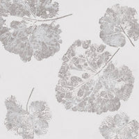 Foglia Dust – Tapeta Łuk Standard