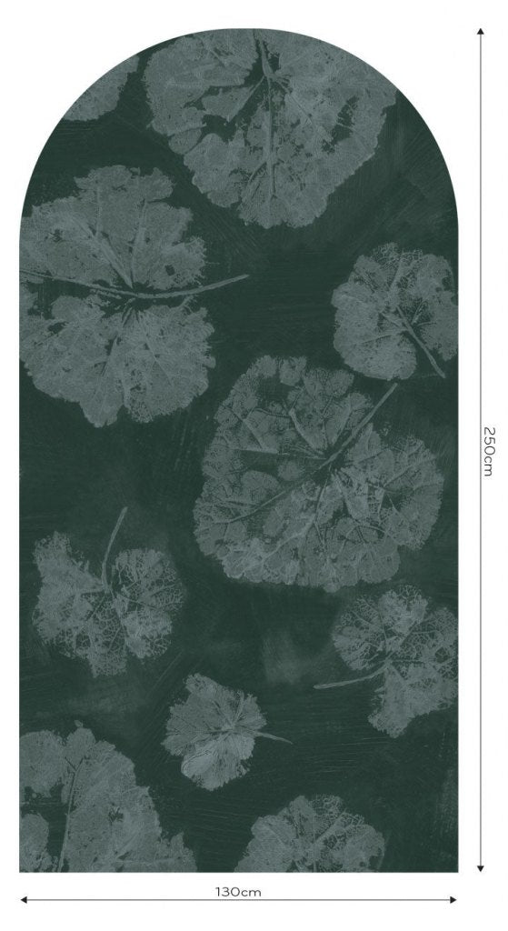 Foglia Sage – Tapeta Łuk Standard