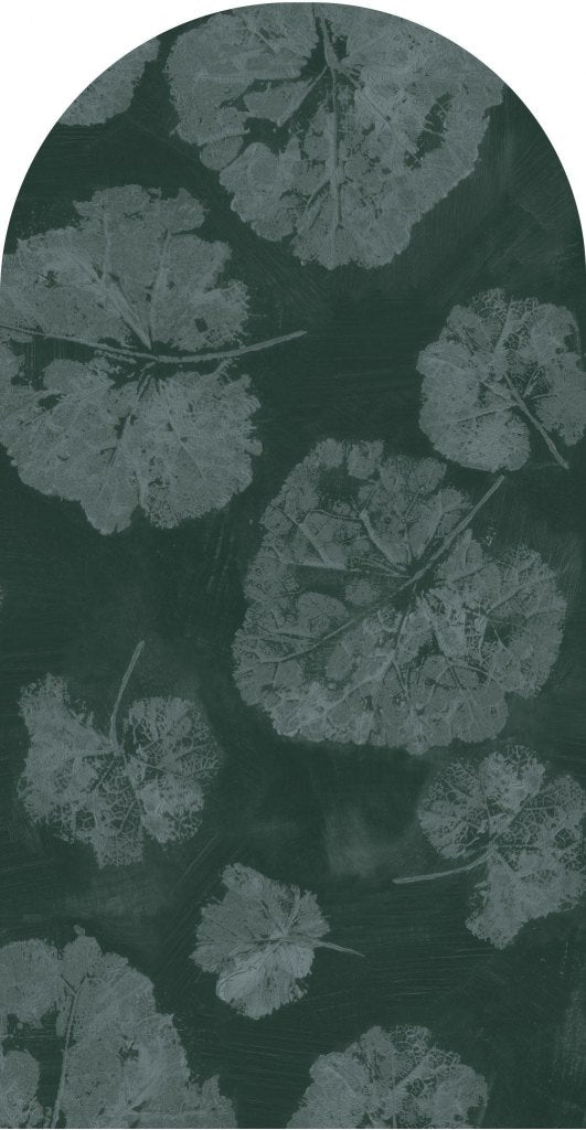 Foglia Sage – Tapeta Łuk Standard