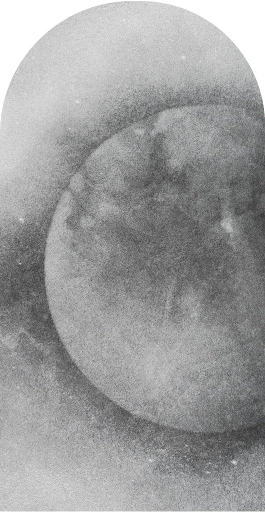 Tsuki – Tapeta Łuk Standard