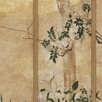 Phoenix – Tapeta Łuk Standard