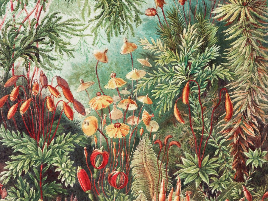 downscaled_pattern_file