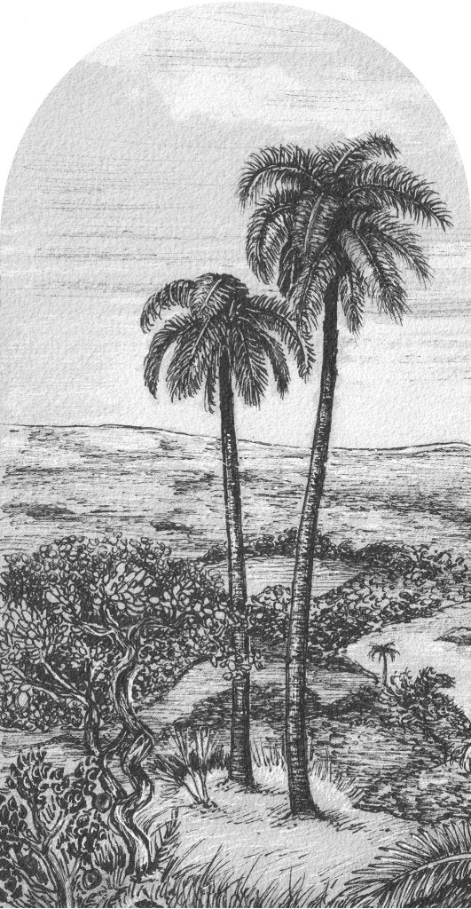 Palm – Tapeta Łuk Standard