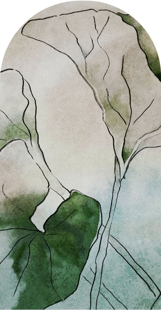 Hasu – Tapeta Łuk Standard