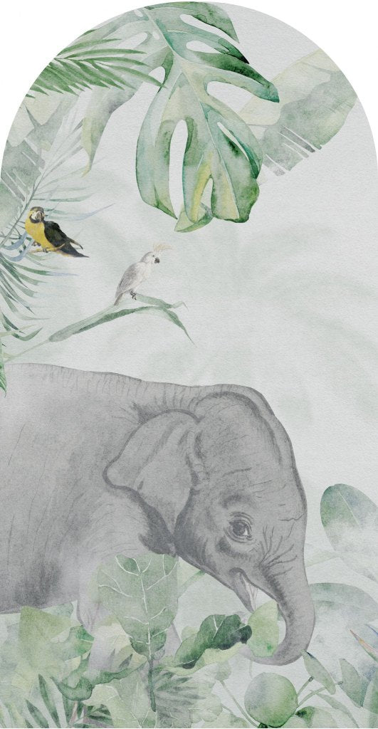 Jungle Vivid – Tapeta Łuk Standard