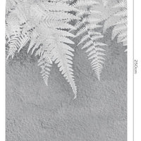 Lacerta – Tapeta Łuk Standard