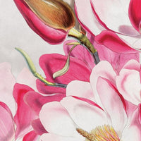 Magnolia – Tapeta Łuk Standard