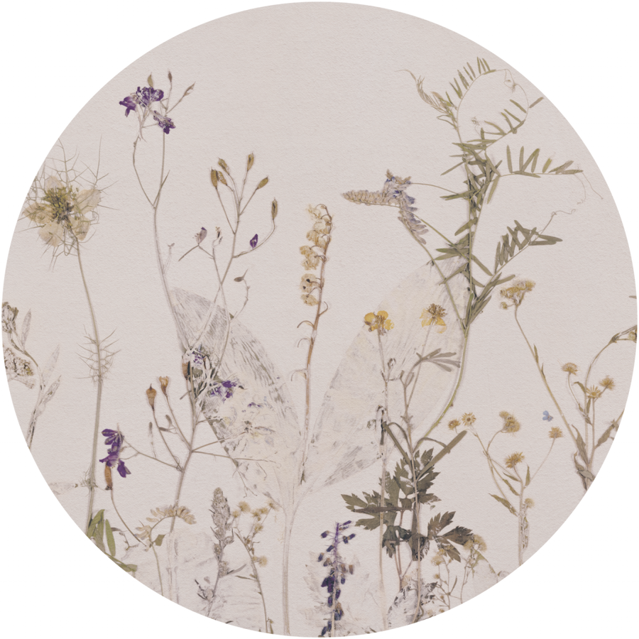 downscaled_pattern_file