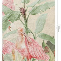 Rainforest Ajaja – Tapeta Łuk Standard