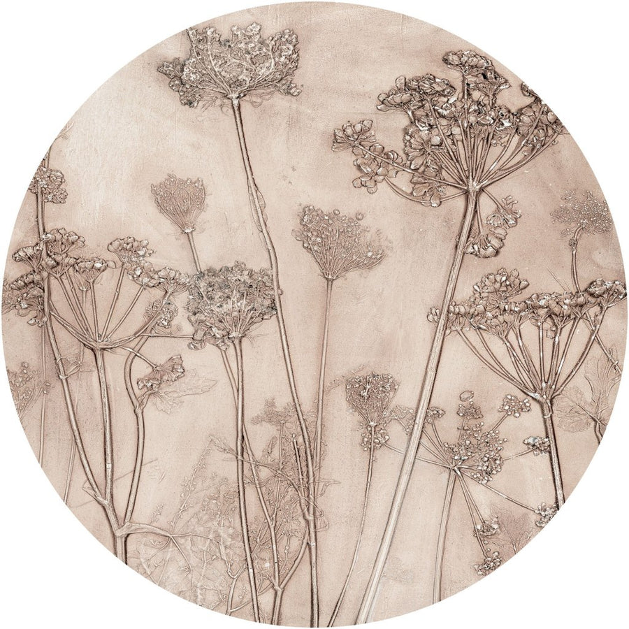 Erbario – Tapeta Koło Standard