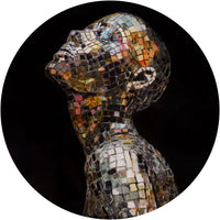 Disco – Tapeta Koło Standard