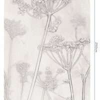 Erbario Light – Tapeta Łuk Standard