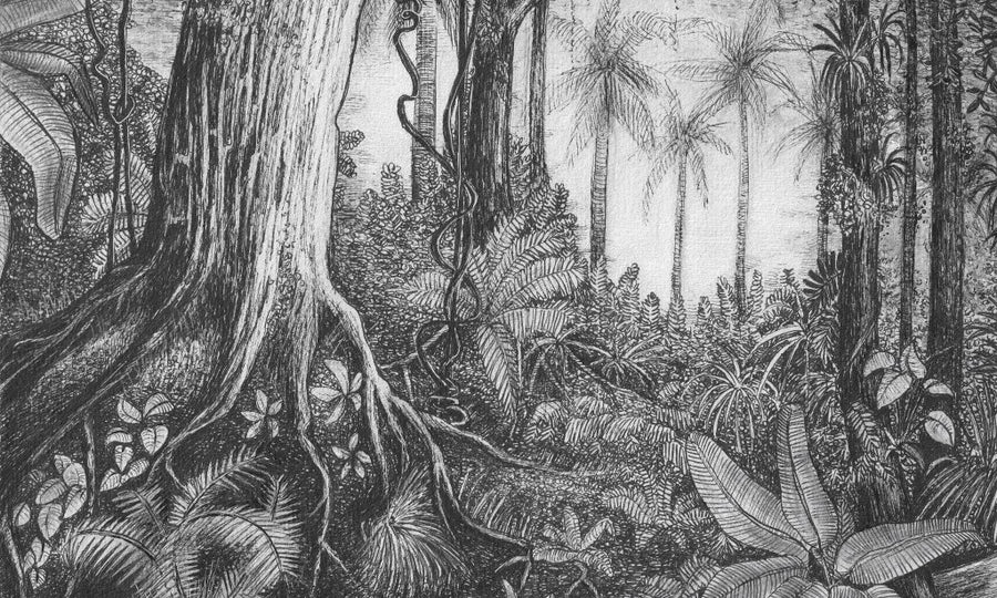 downscaled_pattern_file