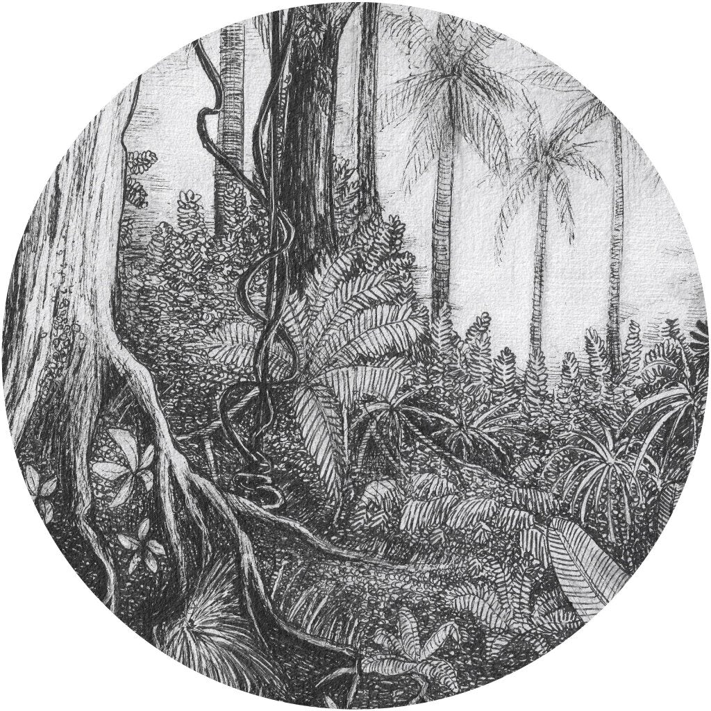 Ness – Tapeta Koło Standard