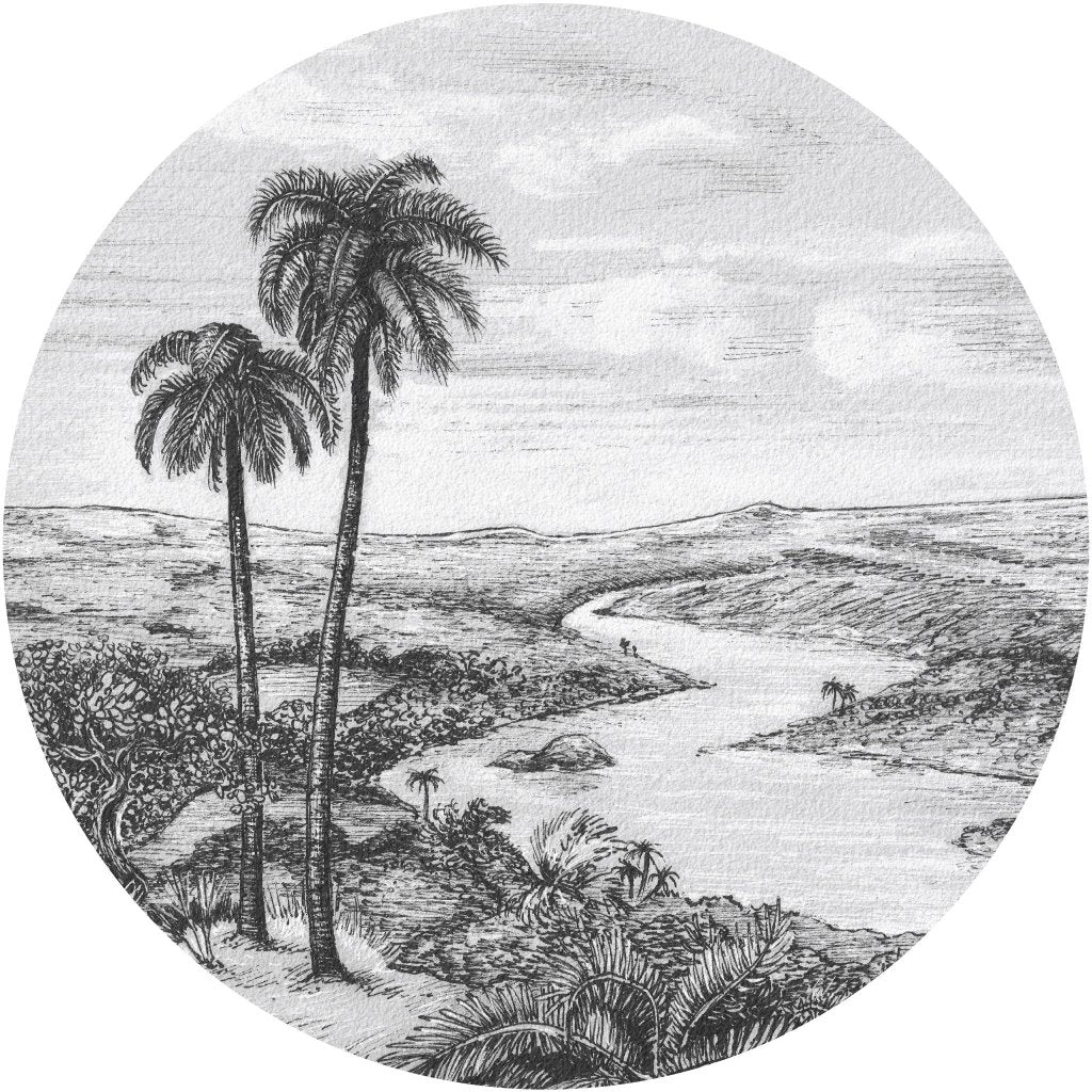 Palm – Tapeta Koło Standard