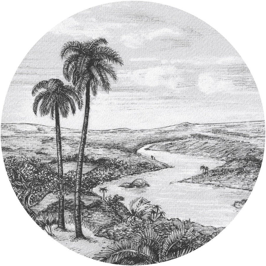 Palm – Tapeta Koło Standard