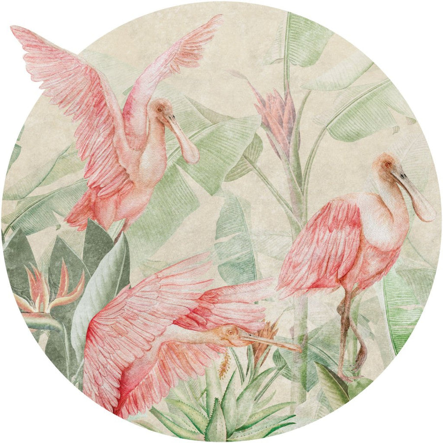 Rainforest Ajaja – Tapeta Koło Standard