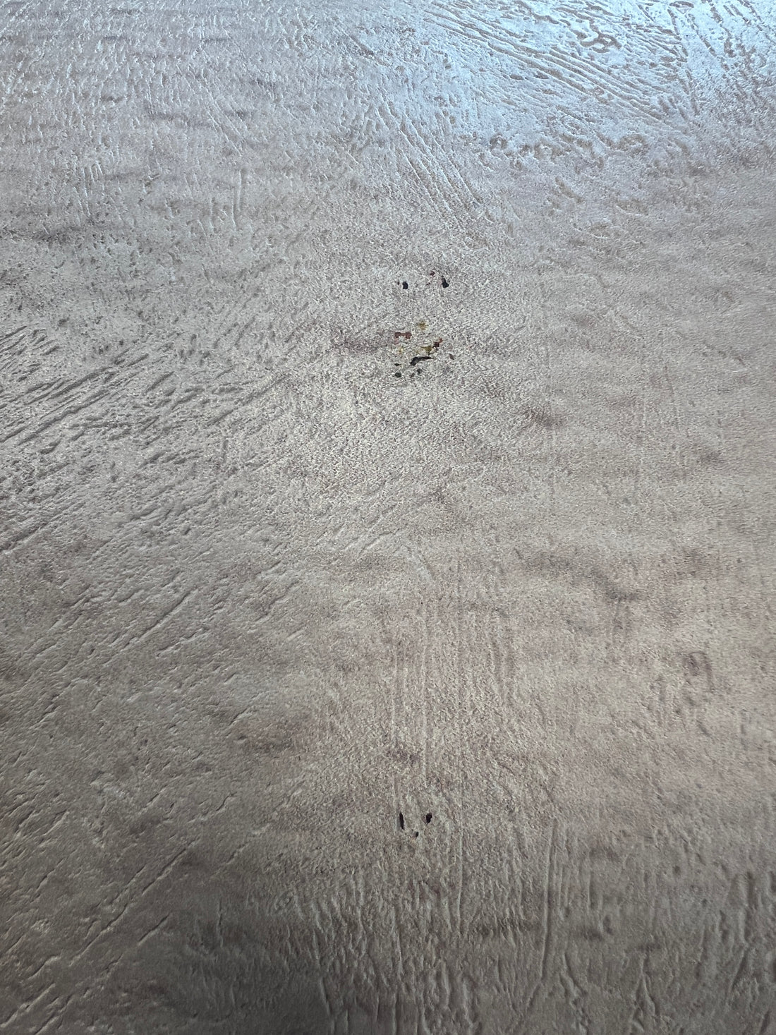 Campo di erbe concrete 595x257